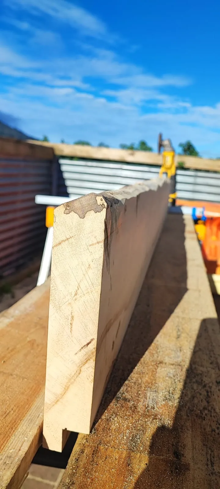 Raw live edge oak slab in Setanta Woodcraft workshop, Carlingford, showing natural bark edge and grain figure